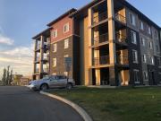 2 Bdrm, 2 W/R, Nr 50th street & Ellerslie Rd, close to...