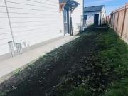 2 bed 1 bath Basement