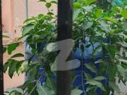 2 Bed | 1st Floor Apartment For Sale