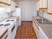 2 bed, 2 bath, safe neighborhood. Cat OK!