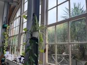 2 Bed Flat, Clark Street, E1