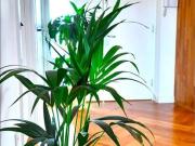 2 Bed Flat, London, SW18