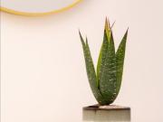 2 Bed Flat, Quay House, M5