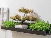 2 Bed Flat, Skyline, B1