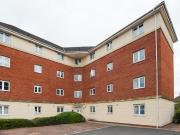 2 Bed Flat to rent