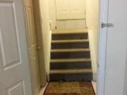 2 Bed room basement for Rent From April 1st 2023