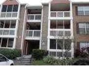 2 Bedroom 2 Bath In Saint Petersburg FL 33702
