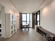 2 Bedroom 2 Bathroom Furnished Apartment at Swanston Central