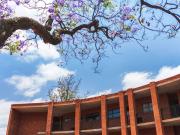 3 Bedroom 2 bathroom ultra modern unit in the heart of...