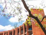 2 Bedroom 2 bathroom ultra modern unit, situated on the...