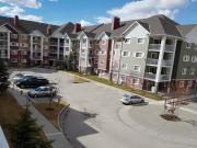 2 bedroom 2 full bath upgraded apartment for rent from May01