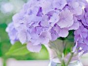 2 Bedroom 451 Sq.Ft. Independent House in Aliganj...