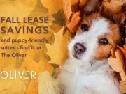 2 Bedroom Apartment Calgary AB 77963230