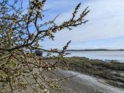 2 Bedroom Apartment Dublin Dublin K56 DP26 ES81037326