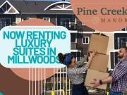 2 Bedroom Apartment Edmonton AB 50190567