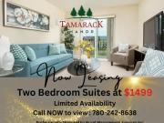 2 Bedroom Apartment Edmonton AB 94297246