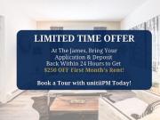 2 Bedroom Apartment Edmonton AB 96299026