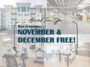 2 Bedroom Apartment Edmonton AB 96299379