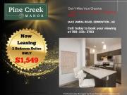 2 Bedroom Apartment Edmonton AB 96376728