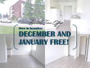 2 Bedroom Apartment Edmonton AB 97065003