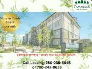 2 Bedroom Apartment Edmonton AB LS99557520