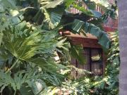 2 Bedroom Apartment / Flat To Rent in La Montagne