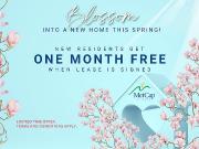 2 Bedroom Apartment For Rent 1265 Cardero Street