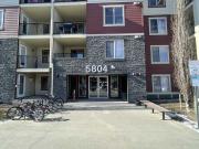 2 Bedroom Apartment for Rent at 206 5804 Mullen Pl Sw...