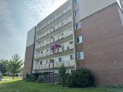 2 Bedroom Apartment for Rent at 455 Sandys St, Chatham...