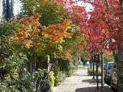 2 Bedroom Apartment for Rent at 5845 Ne Hoyt St,...