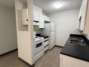 2 Bedroom Apartment for Rent at 79 Castleridge Dr Ne,...