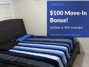 2 Bedroom Apartment for Rent at Rose Way & Leatherleaf...