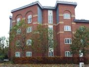 2 Bedroom Apartment For Rent In Anglesey Road