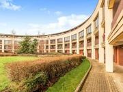 2 Bedroom Apartment For Rent In Campbell Park