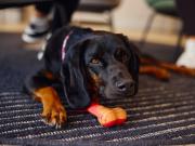 2 bedroom apartment for rent in Glasgow Harbour...