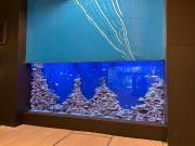 2 bedroom apartment for rent in Great Bridgewater...