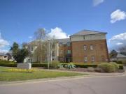 2 bedroom apartment for rent in Joseph Court, Writtle...