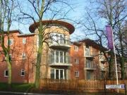 2 Bedroom Apartment For Rent In Littleover