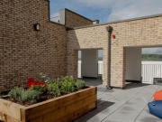 2 Bedroom Apartment For Rent In Sheffield