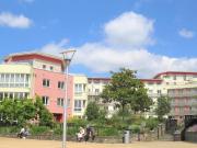 2 bedroom apartment for rent in The Crescent Harbourside...