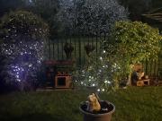 2 bedroom apartment for sale in Bell Court, Northfield,...