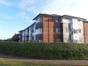 2 Bedroom Apartment House to Rent