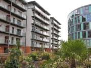 2 Bedroom Apartment House to Rent