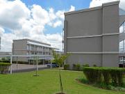 2 Bedroom Apartment in Buccleuch