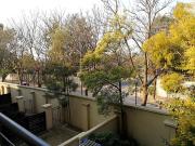 2 Bedroom Apartment in Ferndale