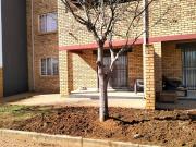 2 Bedroom House in Monavoni