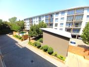 2 Bedroom Apartment in Brooklyn