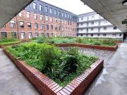 2 Bedroom Apartment in Pinelands