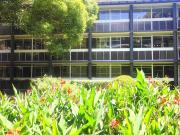 2 Bedroom Apartment in Sandown