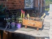 2 Bedroom Apartment in Three Rivers North